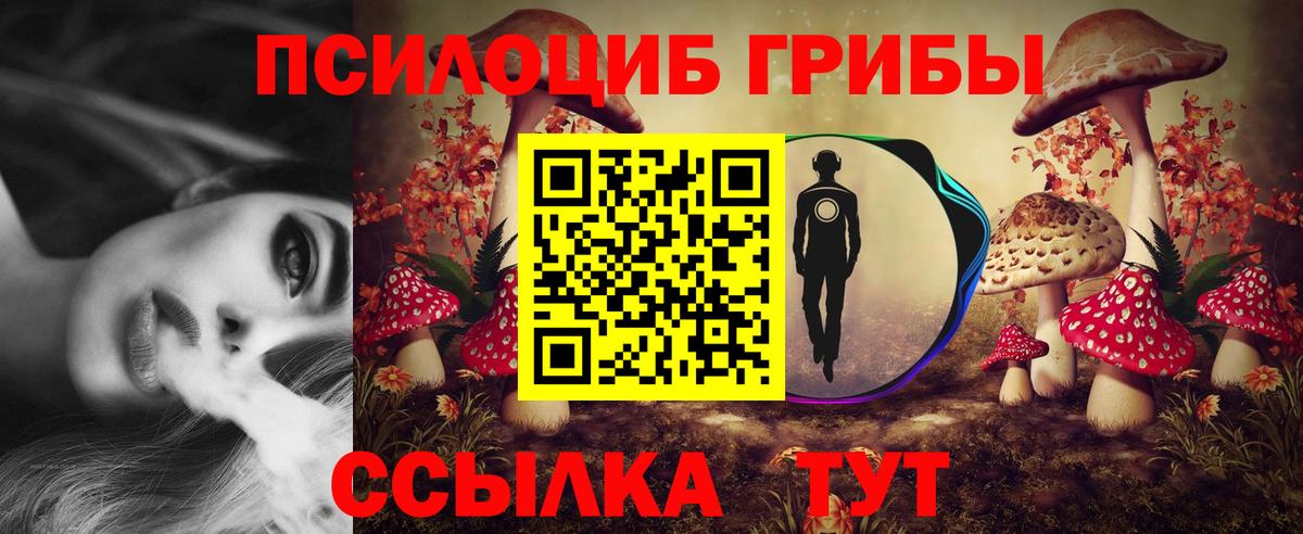 Ковров  Галлюциногенные грибы мицелий  что такое наркотик  Галлюциногенные грибы прущие грибы  Вход с VPN 